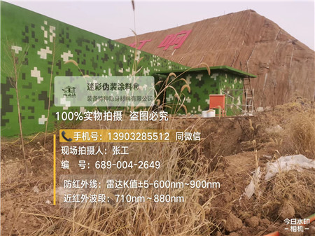 哈尔滨星空迷彩墙施工队