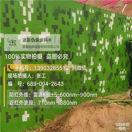 哈尔滨星空迷彩漆，夏令营训练,数码迷彩作训墙,围墙